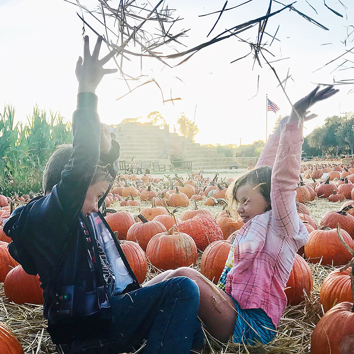 Pumpkin Patch